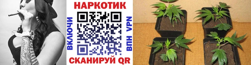 Какие есть наркотики Нерехта Кокаин  Вейп ТГК  Каннабис  A-PVP 