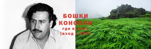 таблы Богданович