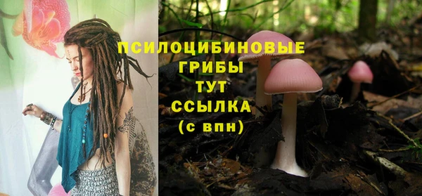 таблы Богданович